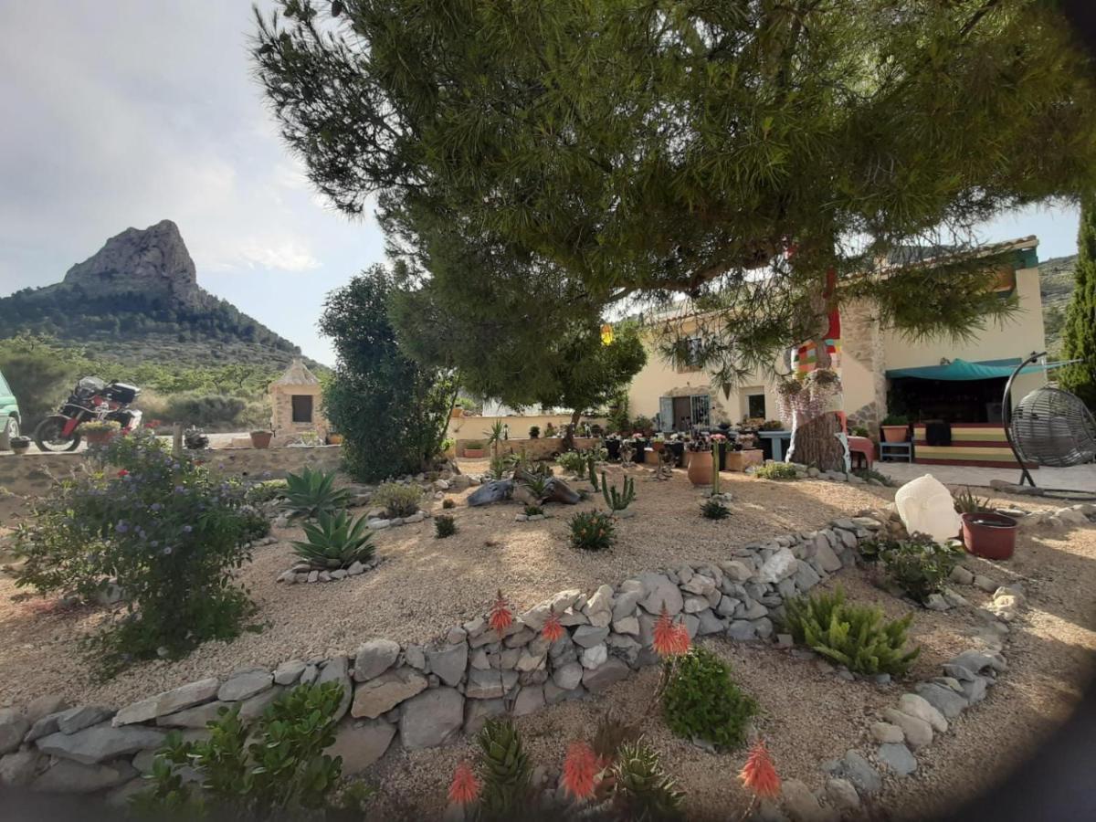 Bed and Breakfast Casa Pura Vida Relleu Экстерьер фото