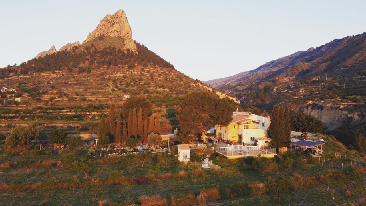 Bed and Breakfast Casa Pura Vida Relleu Экстерьер фото