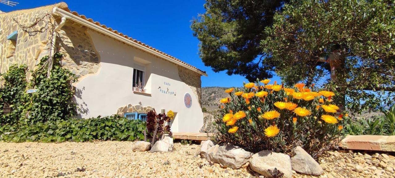 Bed and Breakfast Casa Pura Vida Relleu Экстерьер фото