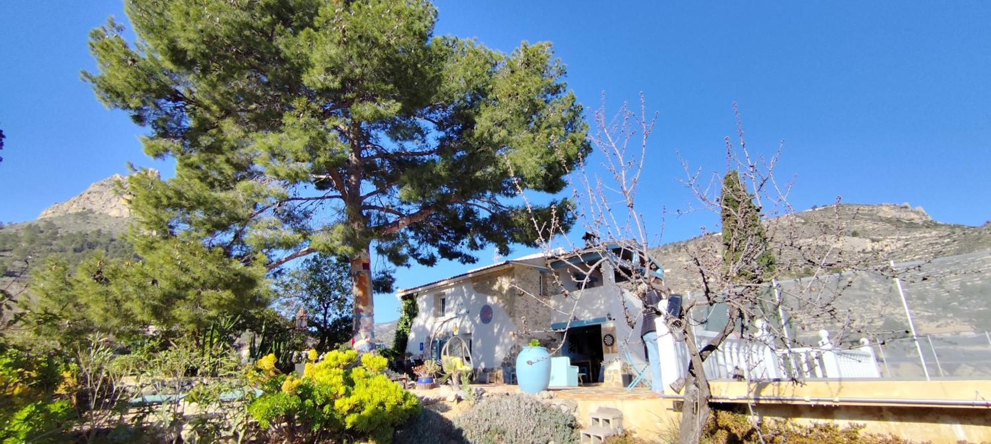 Bed and Breakfast Casa Pura Vida Relleu Экстерьер фото